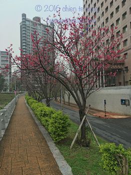 判斷困難