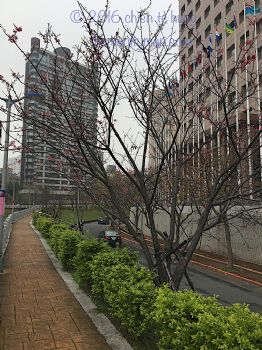 判斷困難