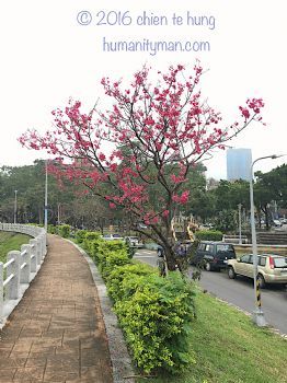 判斷困難