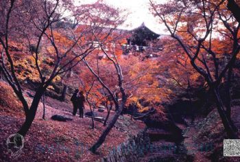 機會難逢 1995