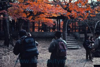 機會難逢 1995