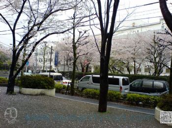 東京都老人健康長壽醫學中心_白金老人之家 圖