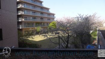 浦安伊甸園
