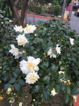 2014年12月20日