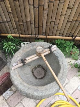 採桔東籬下嫣然見屯山- 文章