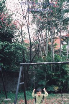 社區中自然的遊樂園