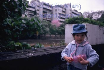 社區中自然的遊樂園