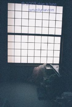 侘寂美學的草木屋