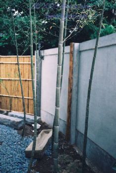 侘寂美學的草木屋