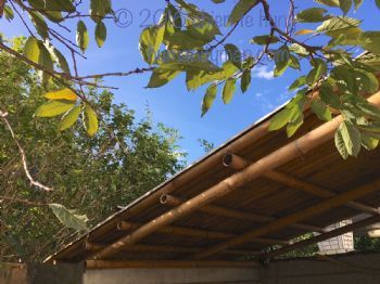 侘寂美學的草木屋