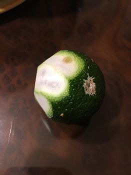 吃不需要什麼學問？！就是忌屎！？