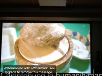 吃不需要什麼學問？！就是忌屎！？