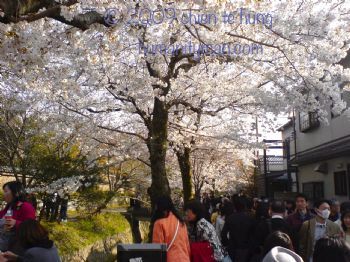 日本京都哲學之道