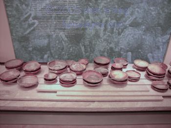 人文早出周土 但是意義不同