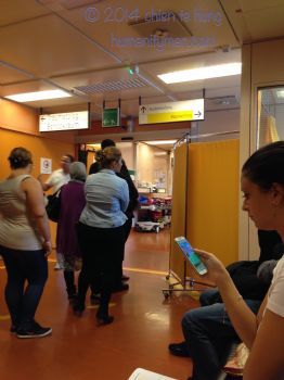 人文不是為了業績而做